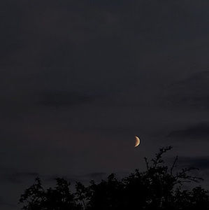 Meet your Posher, Sandy